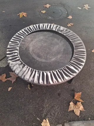 Cama elástica redonda gris