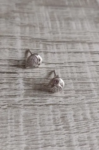 Pendientes Plata 1ª Ley