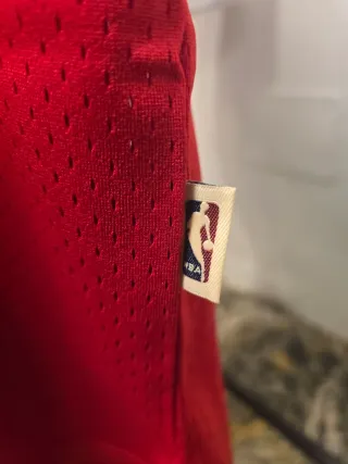 Camiseta Rodman 91 Bulls L