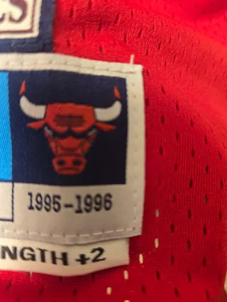 Camiseta Rodman 91 Bulls L