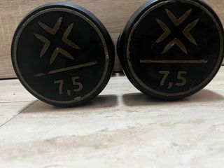 Manubri da 7.5 kg (coppia)