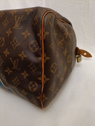 Bolso Louis Vuitton