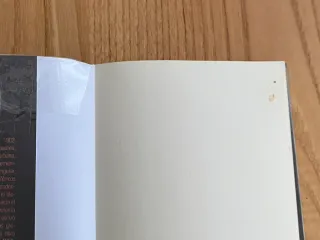 Flora Poste y los Artistas