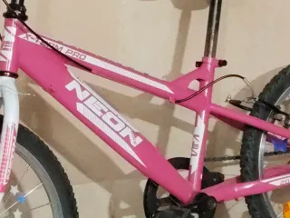 Bicicleta Niña 20 pulgadas Rosa