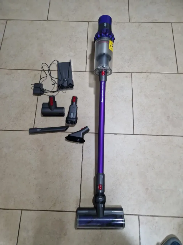 Aspirapolvere Dyson V10 Animal