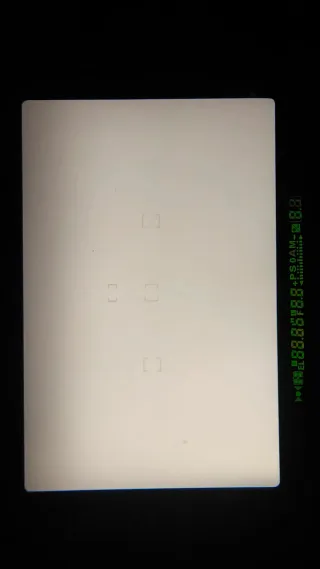 2 cuerpos Nikon F100