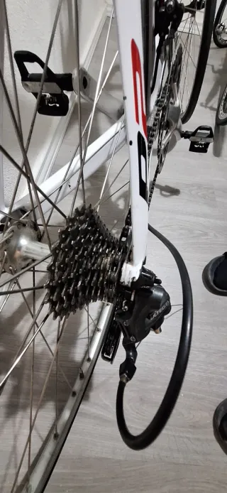 Cervelo P2 Triatlón/Contrarreloj