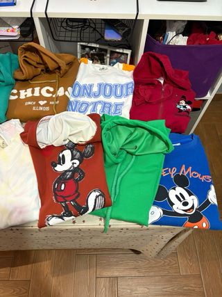 Lote 11 sudaderas (5€ und.) o lote por 50€