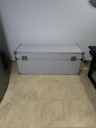 Baúl de almacenamiento plateado y blanco