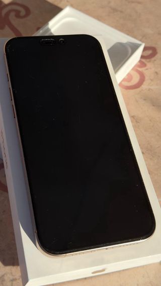 iPhone 16 Pro Max Dorado