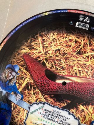 Picture Disc Madonna Music