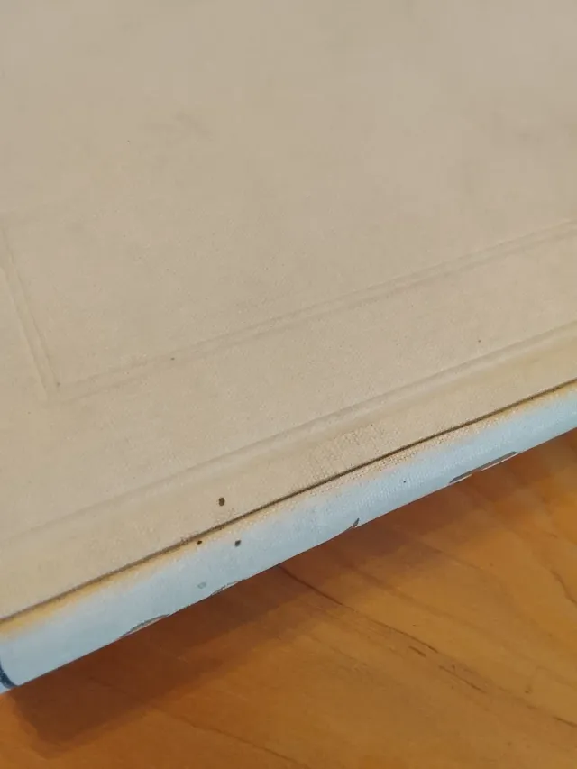 Else Wildhagen, Aus Trotzkopf's Ehe, 1895/1899