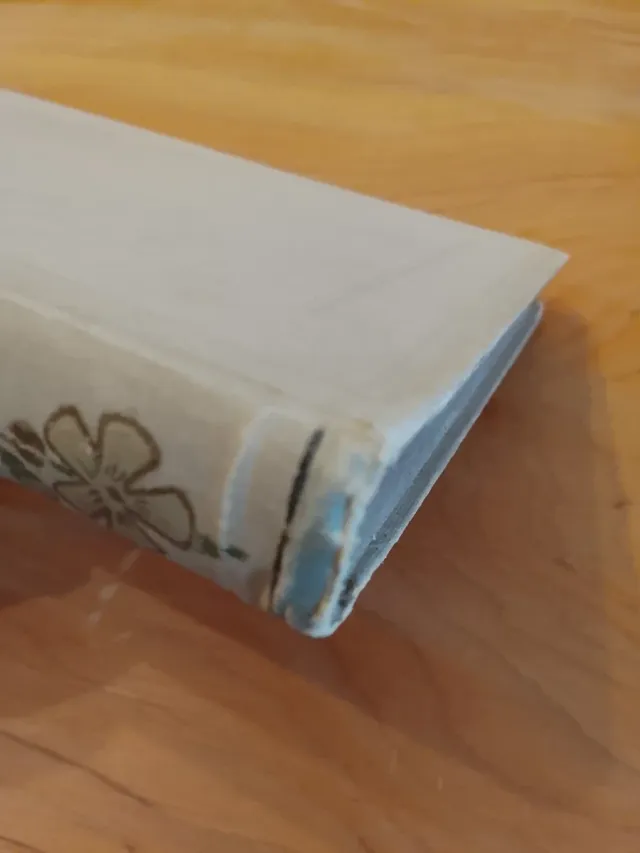 Else Wildhagen, Aus Trotzkopf's Ehe, 1895/1899