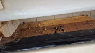 Servicio de limpieza