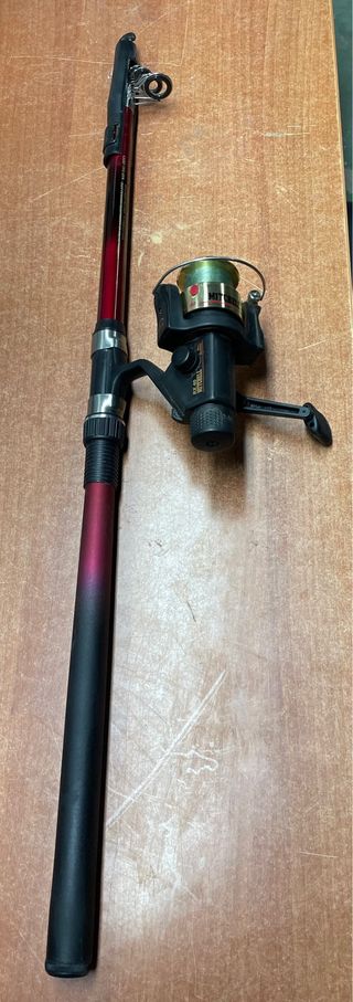 Caña Pescar Evia Sanabria + Carrete Mitchell RX 40