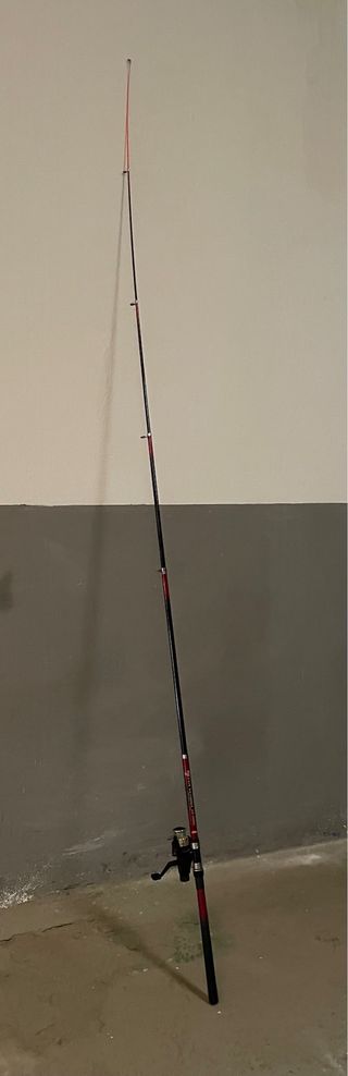 Caña Pescar Evia Sanabria + Carrete Mitchell RX 40