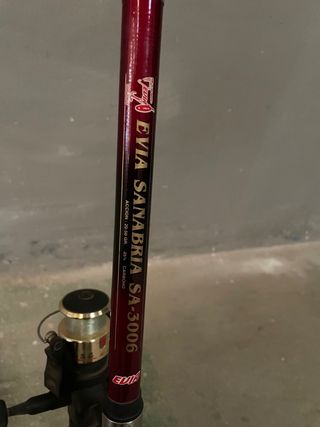 Caña Pescar Evia Sanabria + Carrete Mitchell RX 40