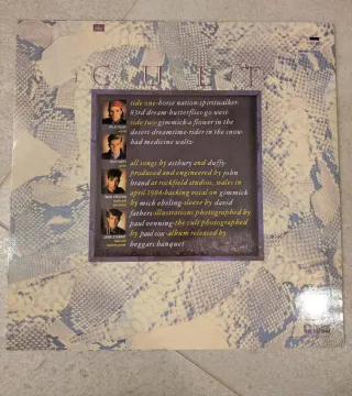 Vinilo The Cult Dreamtime