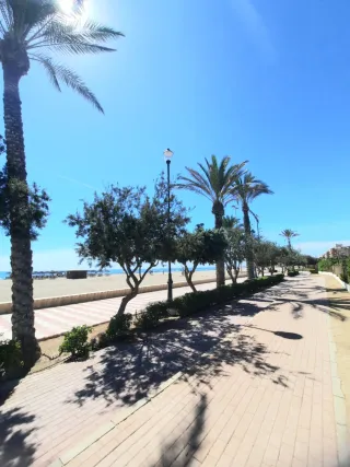 Alquiler piso de febrero a junio