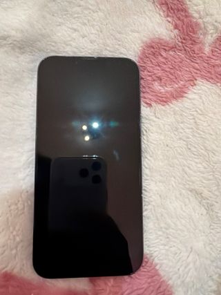 iPhone 13 Pro Max Blu/Viola