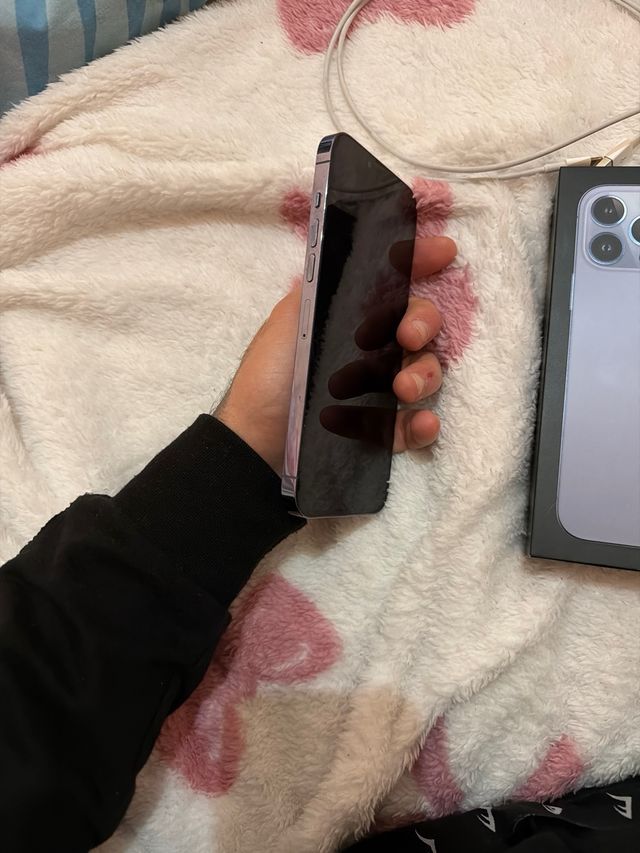 iPhone 13 Pro Max Blu/Viola