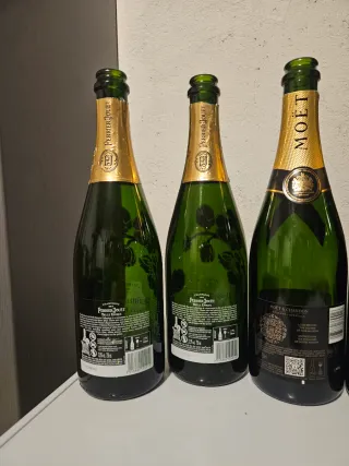 6 Bottiglie Vuote Champagne varie