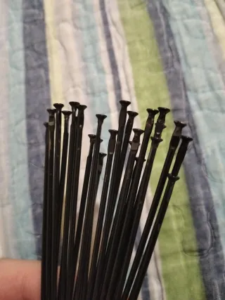 Radios Mavic Crossride Rectos,24 radios