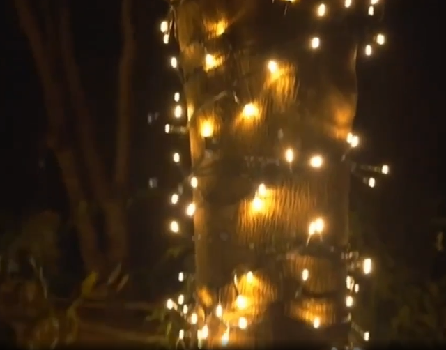 Guirlanda de luzes solares 100 LEDs Natal