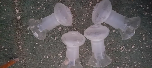 4 Tulipanes de cristal decorativos