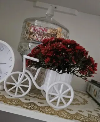 Ornamento fiori casa bicicletta bianco