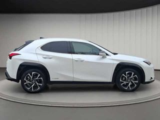 Lexus UX 250h Business 2WD 135 kW (184 CV)