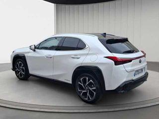 Lexus UX 250h Business 2WD 135 kW (184 CV)