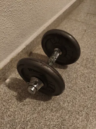 Mancuerna con 2 discos de 4kg