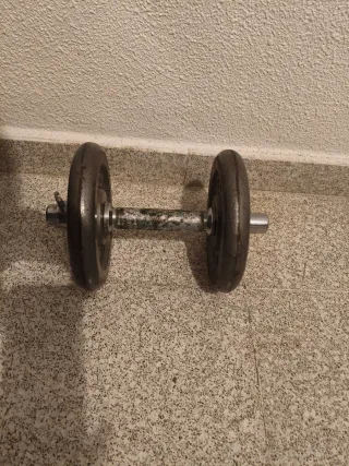 Mancuerna con 2 discos de 4kg