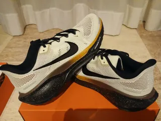 Nike Pegasus 41 Zapatillas Running Hombre