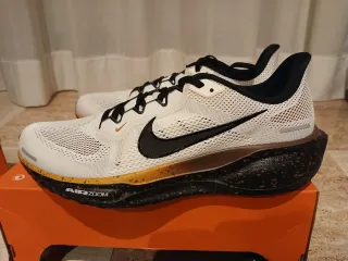 Nike Pegasus 41 Zapatillas Running Hombre