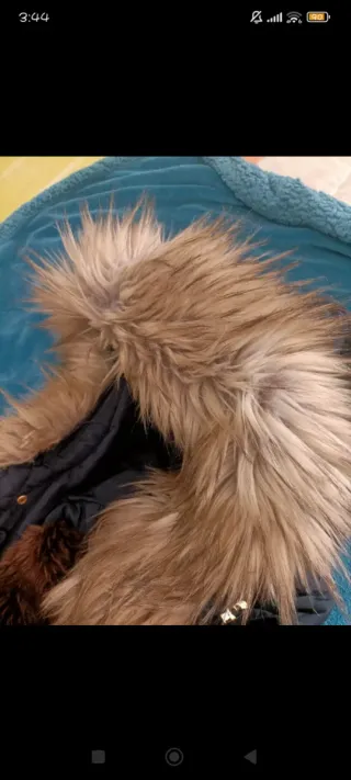 Abrigo Stradivarius azul con capucha