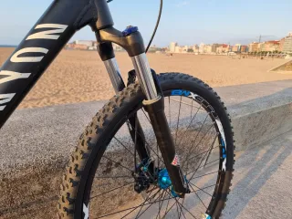 Bicicletta da mountain bike Canyon taglia L