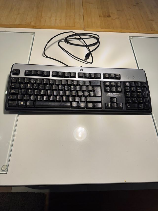 Teclado HP USB Negro y Plateado
