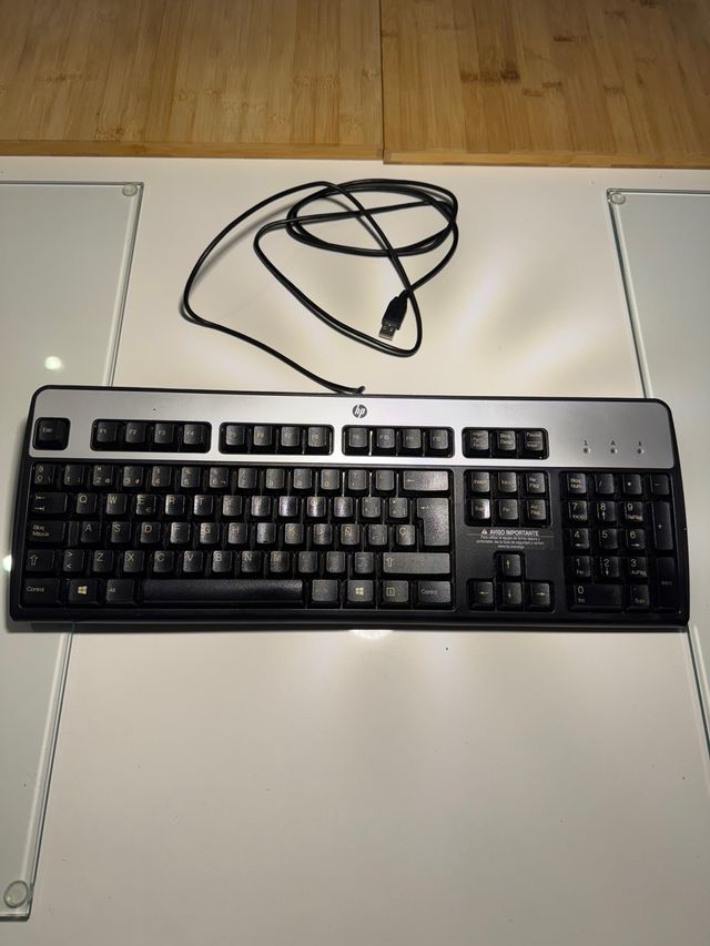 Teclado HP USB Negro y Plateado