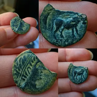 Moneda íbero Romana Antigua