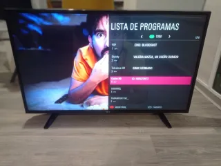 *despiece TV LG 43 pulgadas
