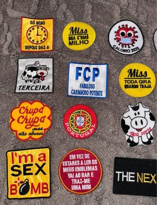 Lote de Emblemas Académicos Variados