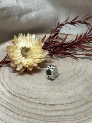 Charm Pulsera Amistad Perro Corazón