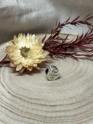 Charm Pulsera Amistad Perro Corazón