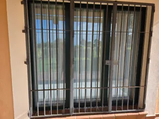 Ventanales en verde carruaje doble cristal climali