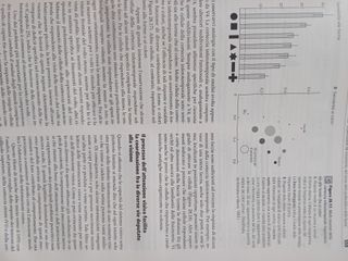 Libro Principi di Neuroscienze Terza Edizione