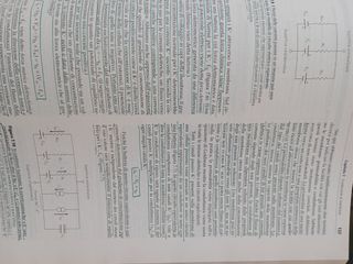 Libro Principi di Neuroscienze Terza Edizione