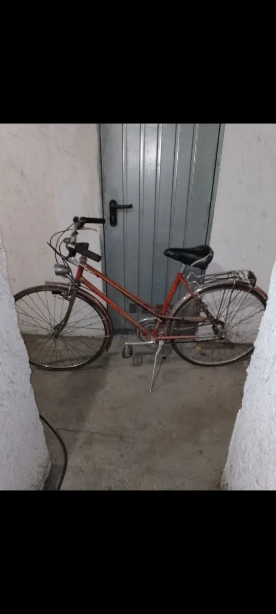 Bicicletta da donna vintage
