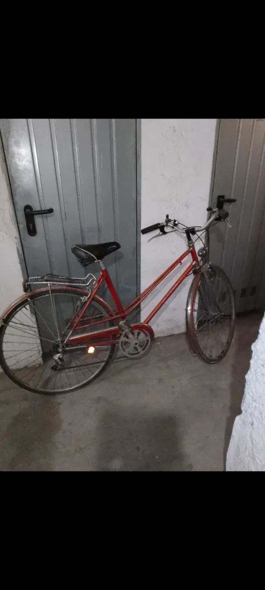 Bicicletta da donna vintage